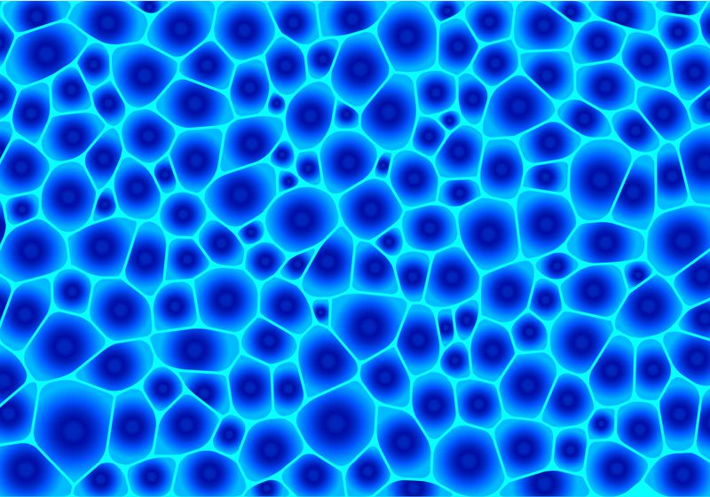 Aligning Organoid Imaging Strategies with Discovery Goals
