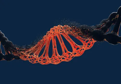 A DNA triple-helix is shown in black with a piece of synthetic DNA inserted into it in red over a dark blue background.