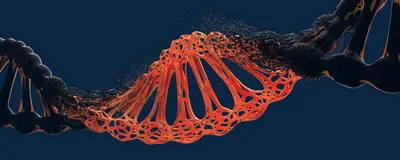 A DNA triple-helix is shown in black with a piece of synthetic DNA inserted into it in red over a dark blue background.