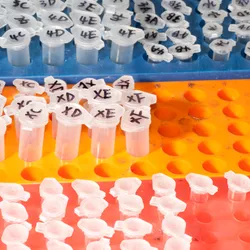 An image of microcentrifuge tubes arranged within colorful laboratory racks.