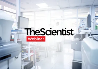 Using TCR Repertoire Sequencing to Advance Immunology Research
