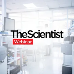 Using TCR Repertoire Sequencing to Advance Immunology Research
