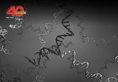 Image of RNA strands against a blue background.