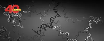 Image of RNA strands against a blue background.