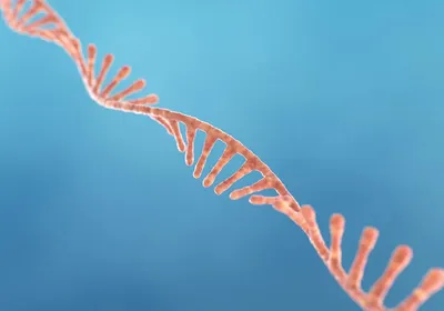 Short strands of RNAi floating on a blue background
