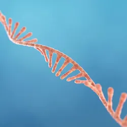 Short strands of RNAi floating on a blue background
