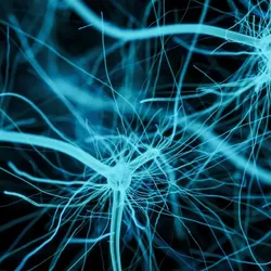 Abstract image of neuron cell network, signifying RNAi drug that targets the production of a mutated protein present in people with hereditary transthyretin amyloidosis