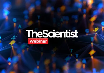 Optimizing NGS Library Preparation for Reliable Sequencing Data