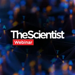 Optimizing NGS Library Preparation for Reliable Sequencing Data
