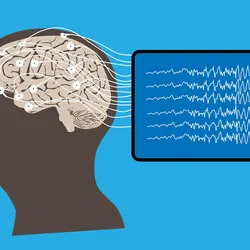 Illustration of human brain and electroencephalography, signifying brain-computer interfaces.