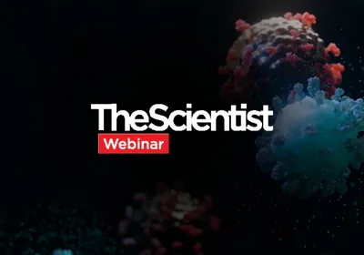 Overcoming Immunotherapy Resistance in Liver Cancer