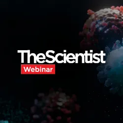 Overcoming Immunotherapy Resistance in Liver Cancer