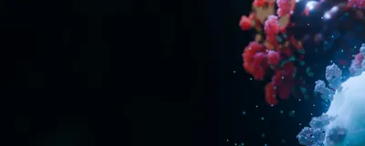 Overcoming Immunotherapy Resistance in Liver Cancer