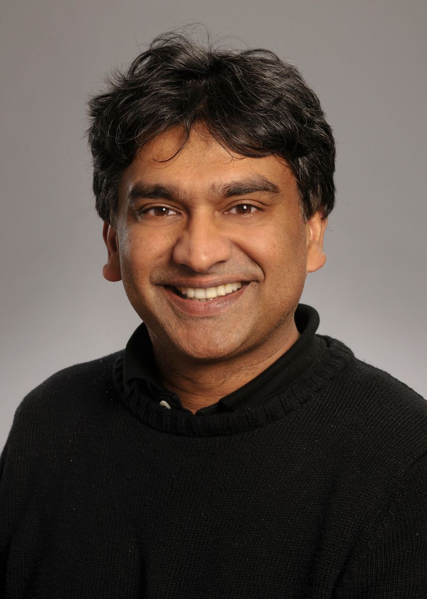 Portrait photo of Bali Pulendran against a gray background. Pulendran has short dark hair and is wearing a black shirt, smiling at the camera. Portrait photo of Bali Pulendran against a gray background. Pulendran has short dark hair and is wearing a black shirt, smiling at the camera.