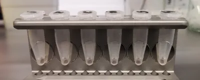 Sample purification using magnetic bead-based separation