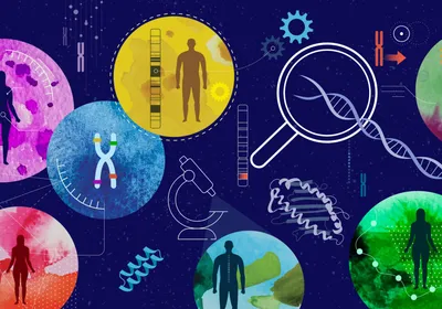 An illustration of human silhouettes and DNA imagery in colorful circles on a dark blue background. 