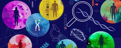 An illustration of human silhouettes and DNA imagery in colorful circles on a dark blue background. 
