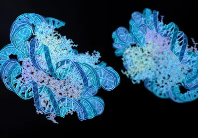 DNA helices in blue are shown in their 3D environment wrapped around two nucleosomes in blue, green, and purple against a black background.