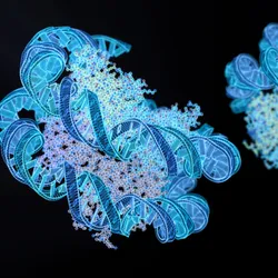 DNA helices in blue are shown in their 3D environment wrapped around two nucleosomes in blue, green, and purple against a black background.