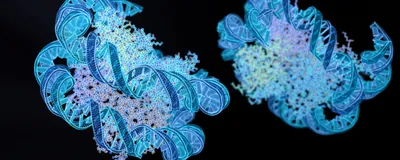 DNA helices in blue are shown in their 3D environment wrapped around two nucleosomes in blue, green, and purple against a black background.
