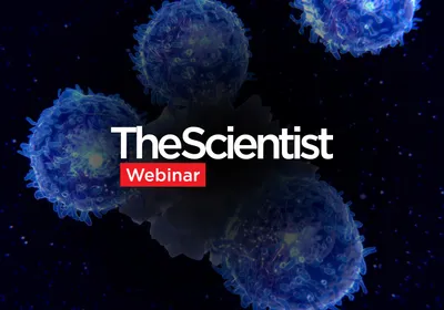Advancing Respiratory Immunity Through Tissue-Resident Memory T Cell Research