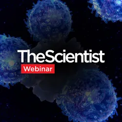 Advancing Respiratory Immunity Through Tissue-Resident Memory T Cell Research