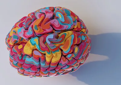 A model of a brain made of flat, multicolored pieces stacked together. 