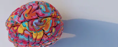 A model of a brain made of flat, multicolored pieces stacked together. 