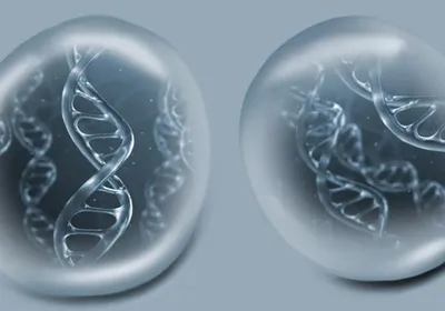 Long-read sequencing signified by DNA within droplets.
