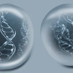 Long-read sequencing signified by DNA within droplets.