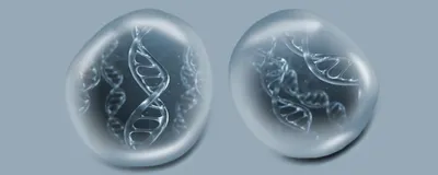 Long-read sequencing signified by DNA within droplets.