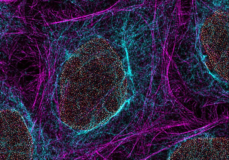Expanding What Super-Resolution Microscopy Can Capture