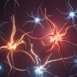 3D rendered image of neurons on a dark background. Two neurons in the middle have a bright, reddish orange glow, indicating they are firing together. Neurons surrounding them are in white or grey. 