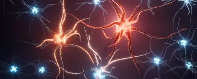 3D rendered image of neurons on a dark background. Two neurons in the middle have a bright, reddish orange glow, indicating they are firing together. Neurons surrounding them are in white or grey.