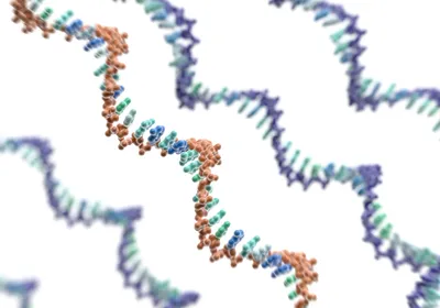 3D strands of mRNA molecules are shown in red, green, and blue against a white background.