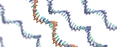 3D strands of mRNA molecules are shown in red, green, and blue against a white background.