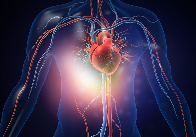 Digital Twins Modeling Blood Flow Could Predict Heart Problems