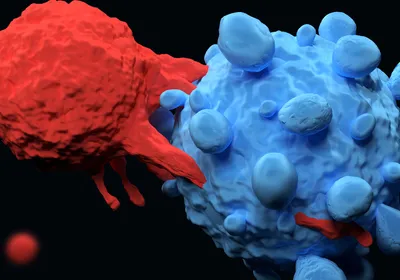 3D illustration of an immune cell interacting with a cancer cell.