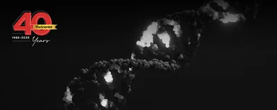 A grayscale image of a 3D strand of DNA extending diagonally across a dark background. Some spots in the DNA are highlighted to represent regions with specific features, like methylation.