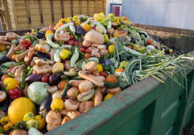 A dumpster full of expired fruit and vegetables.