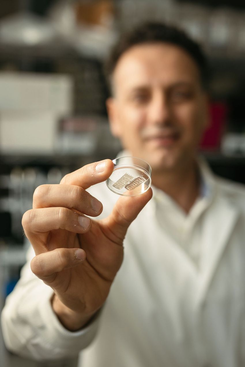 A man holds a petri dish on his hand. A man holds a petri dish on his hand.