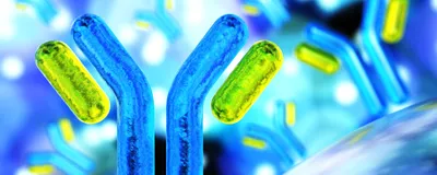 Automating Protein and AAV Purification for Higher-Throughput Research