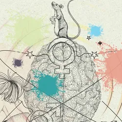 A colorful image of a brain surrounded by outlines of a woman, rodent, and a marmoset. Lines orbit around the brain and are surrounded by stars.