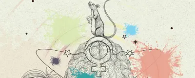 A colorful image of a brain surrounded by outlines of a woman, rodent, and a marmoset. Lines orbit around the brain and are surrounded by stars.