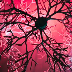 3D rendering of neurons, signifying a study that indicates why Alzheimer’s is common in women.