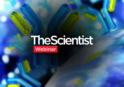 Automating Protein and AAV Purification for Higher-Throughput Research