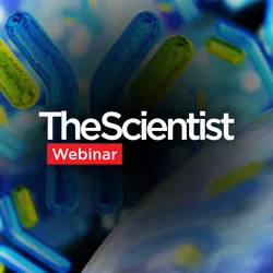 Automating Protein and AAV Purification for Higher-Throughput Research