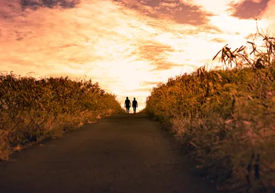 Two people walk up a hill at sunset, in this case, representing a mentor walking with their mentee through life. 
