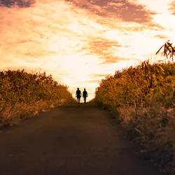 Two people walk up a hill at sunset, in this case, representing a mentor walking with their mentee through life. 