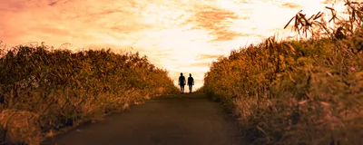 Two people walk up a hill at sunset, in this case, representing a mentor walking with their mentee through life.